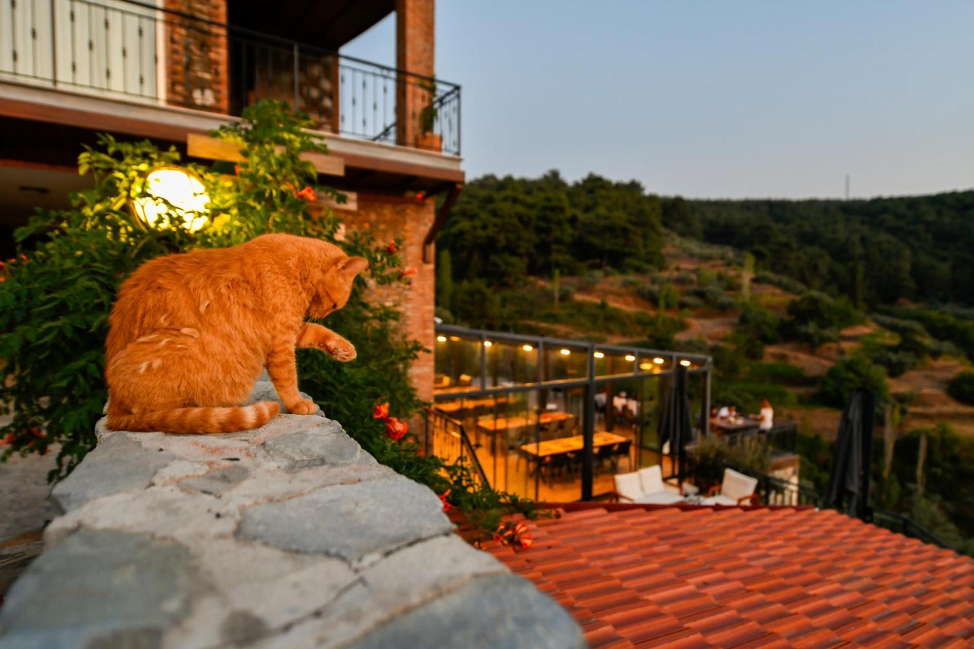 Hotel Ephesus Retreat Esmirna Exterior foto